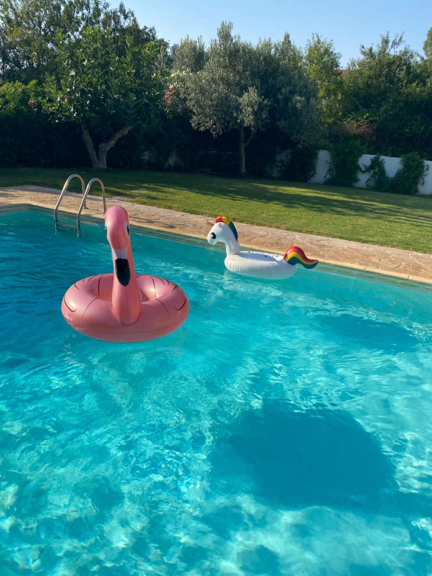 Relaxing Villa With Swimming Pool And Garden Agios Georgios  Exterior foto